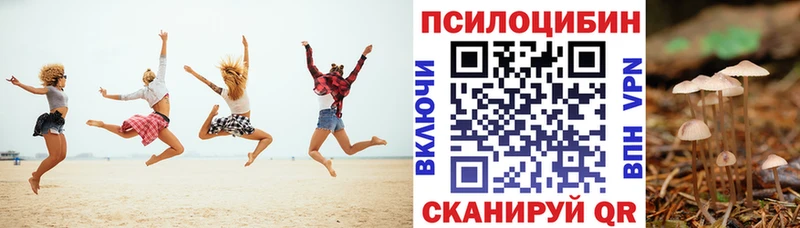 Псилоцибиновые грибы Cubensis  купить наркотик  Троицк 