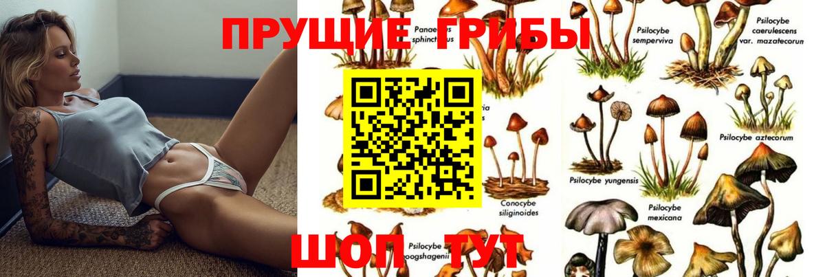 Псилоцибиновые грибы Cubensis Троицк